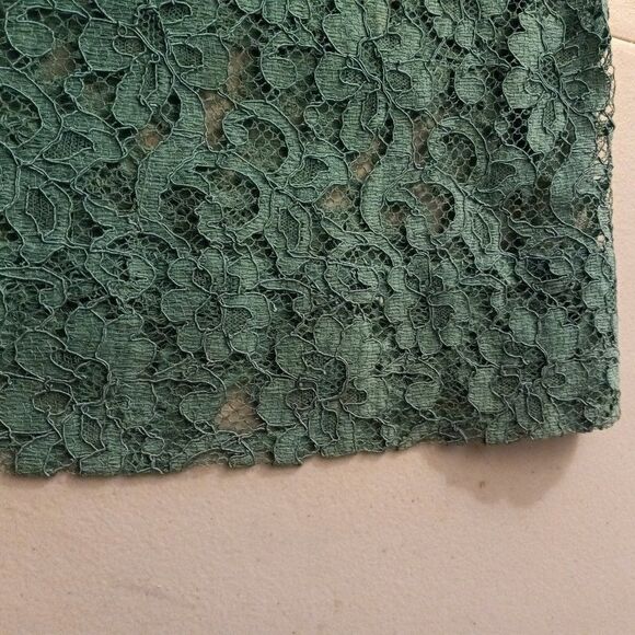 Vintage Green Lace with Daisys Dress - Picture 10 of 11